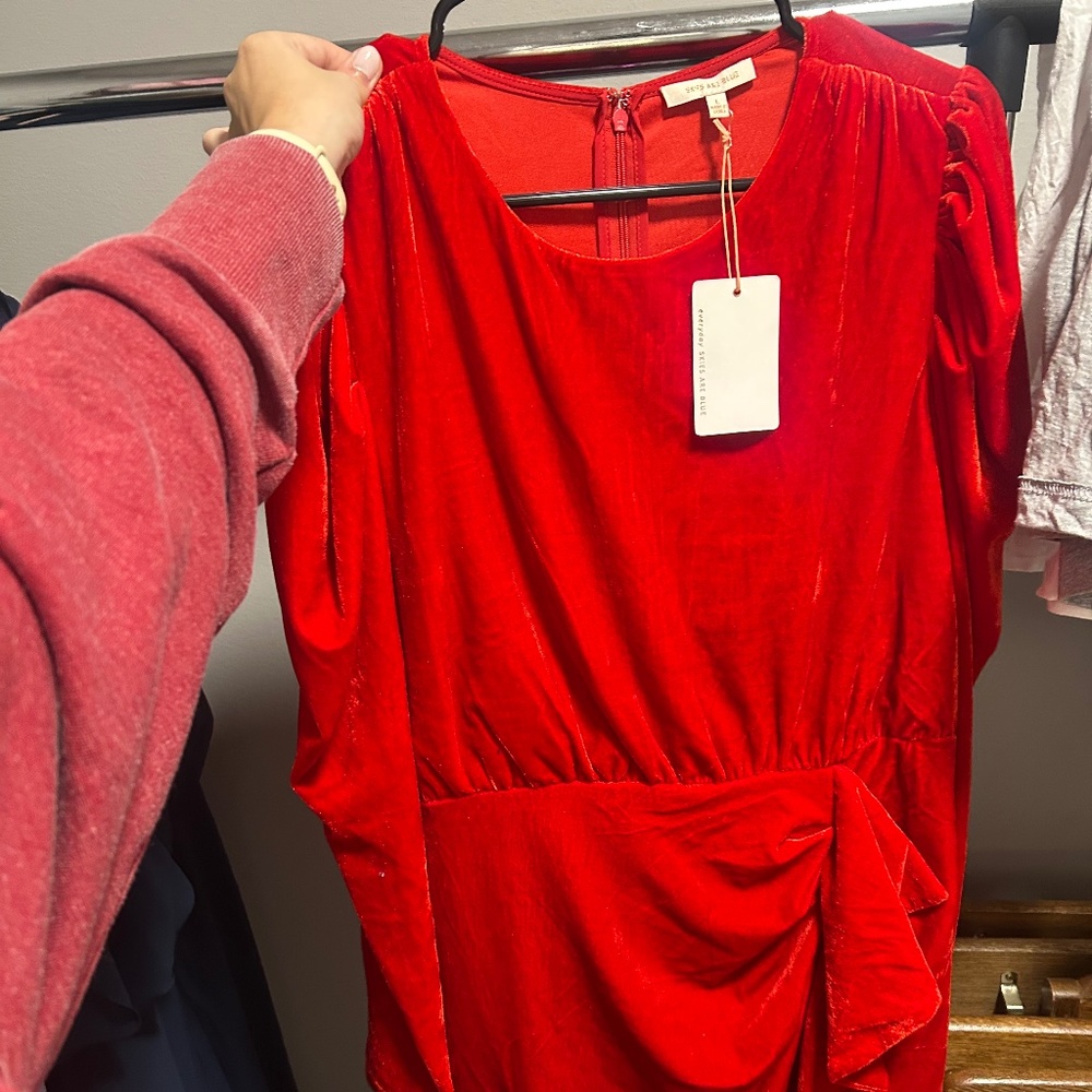 Velvet Red Dress